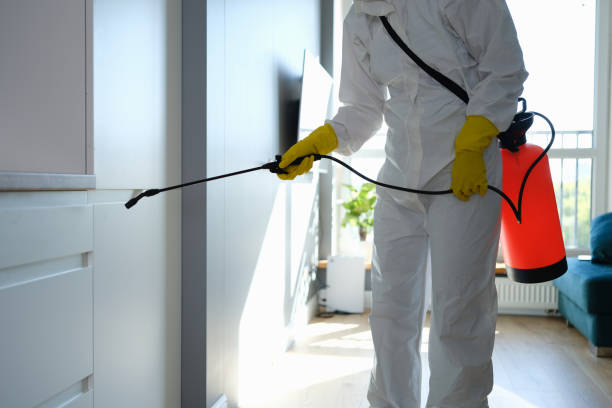 Best Residential Mold Removal  in Congress, AZ