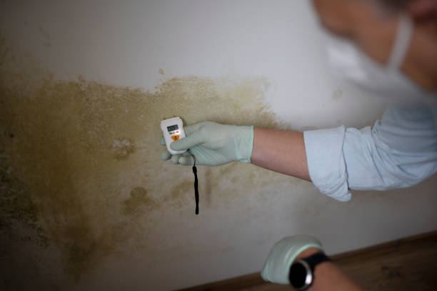 Best Office Mold Removal Services  in Congress, AZ